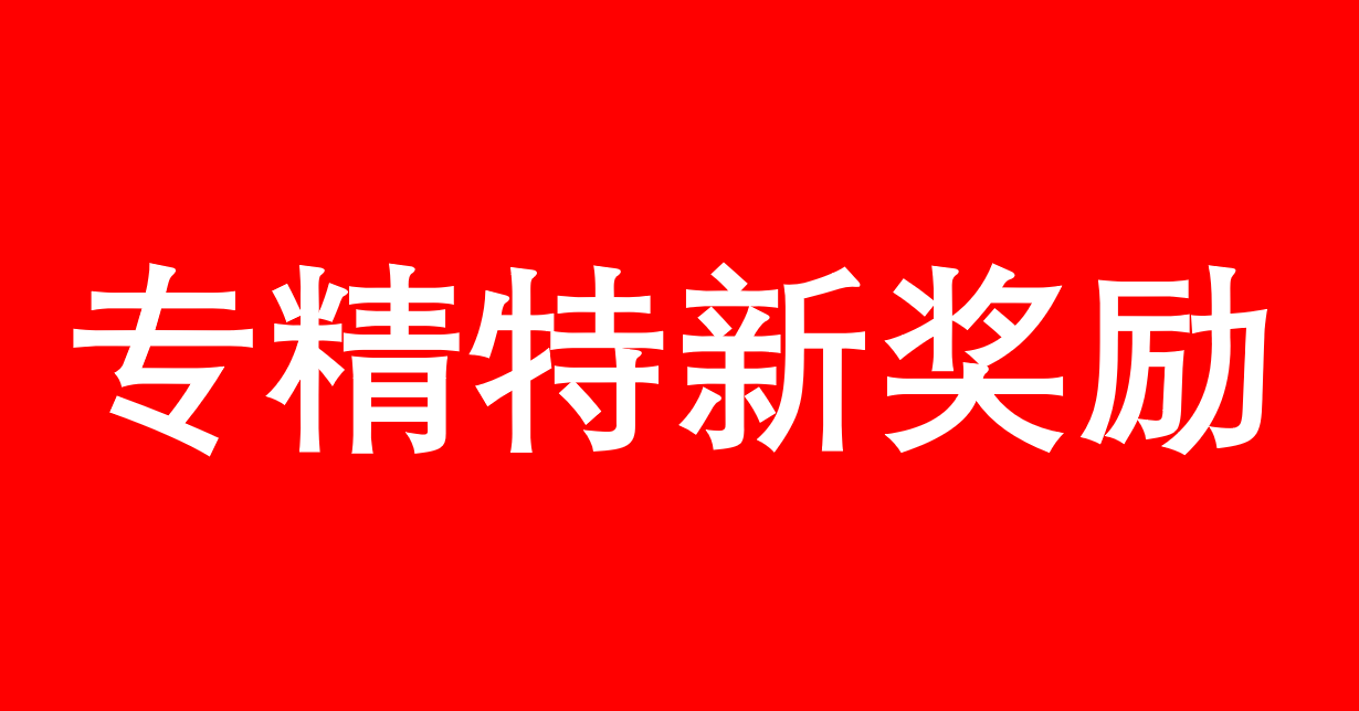 2023上海市專精特新獎勵合集